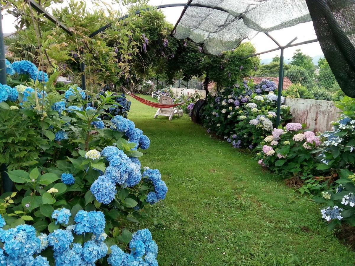 Apartament Quinta Da Ribeirinha Arouca Zewnętrze zdjęcie