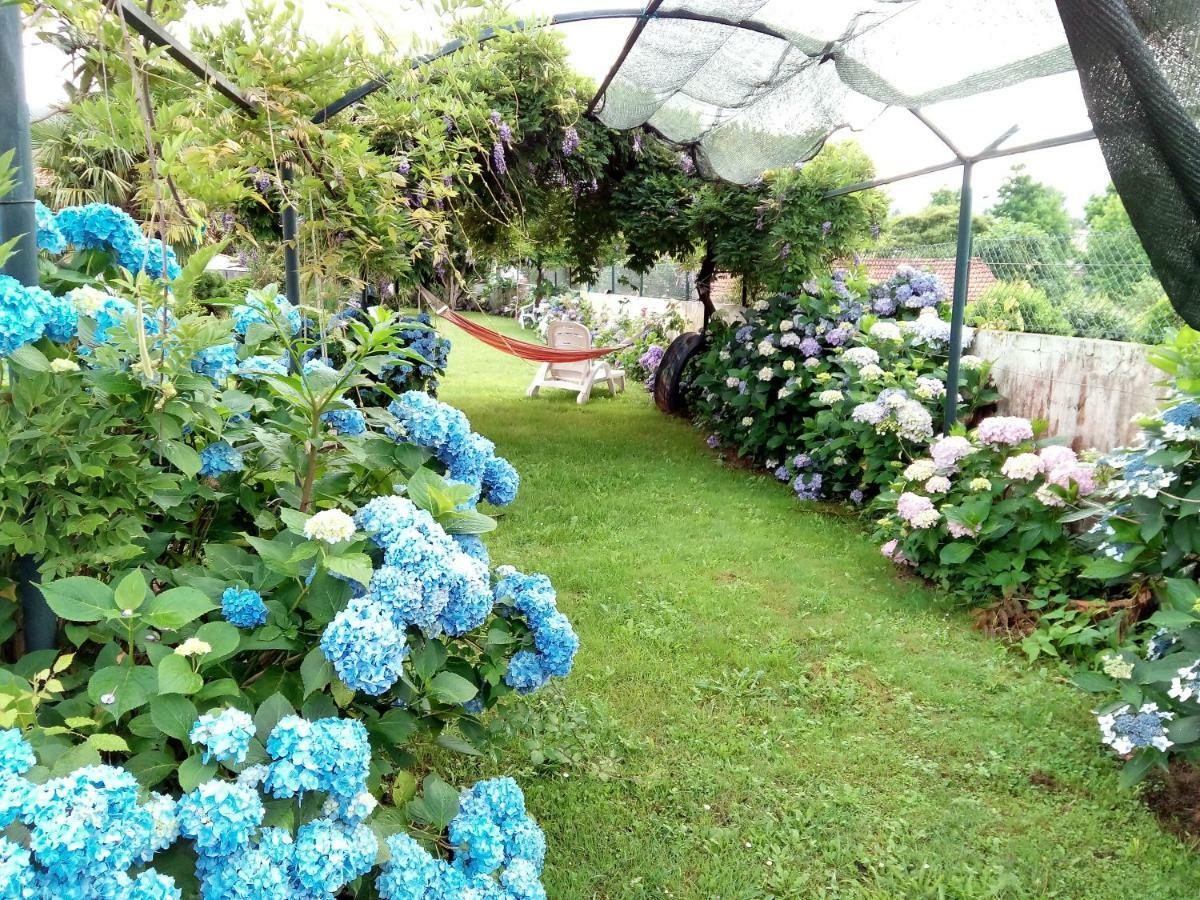 Apartament Quinta Da Ribeirinha Arouca Zewnętrze zdjęcie